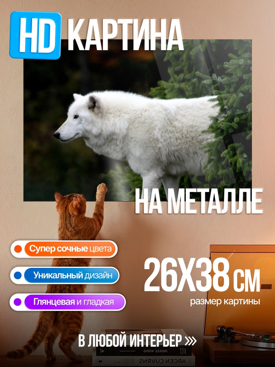 Картина на металле белый волк