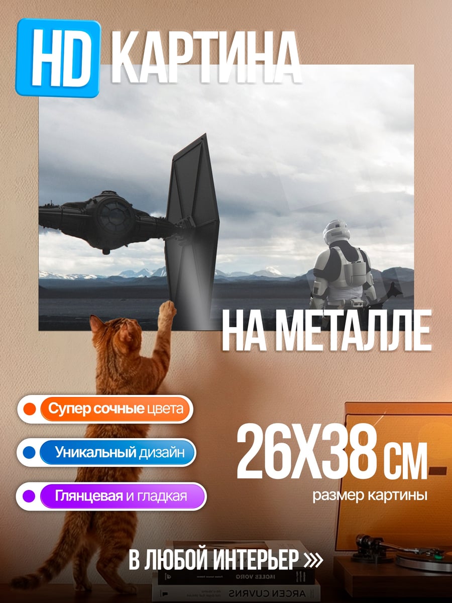 Картина на металле Штурмовик и имперский корабль