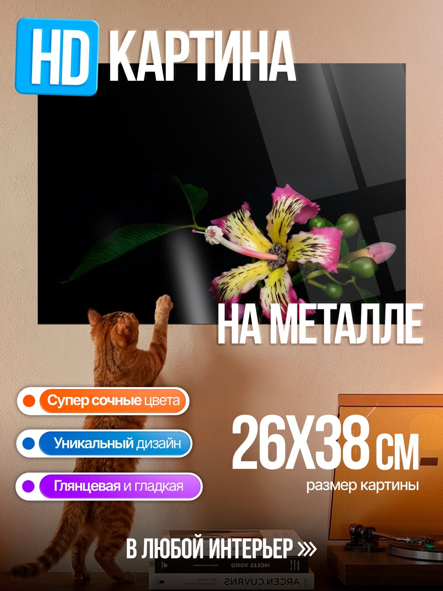 Картина на металле Экзотический цветок на черном