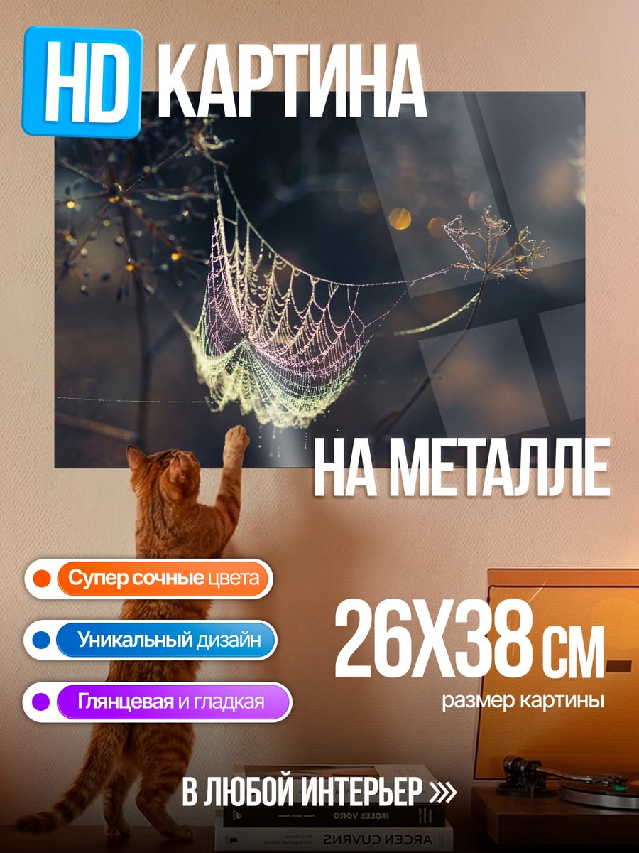 Картина на металле Паутина в каплях