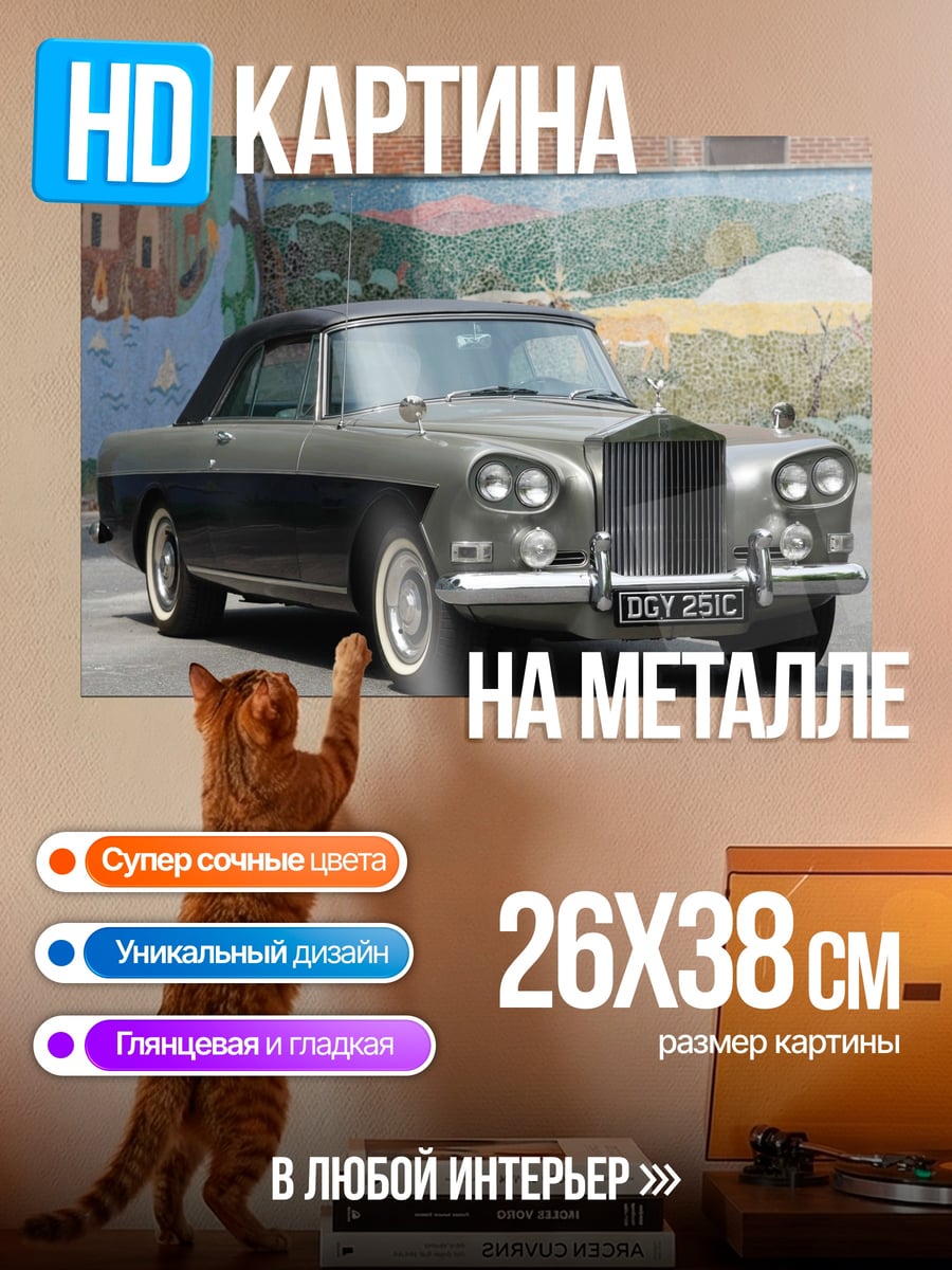 Картина на металле Редкий автомобиль