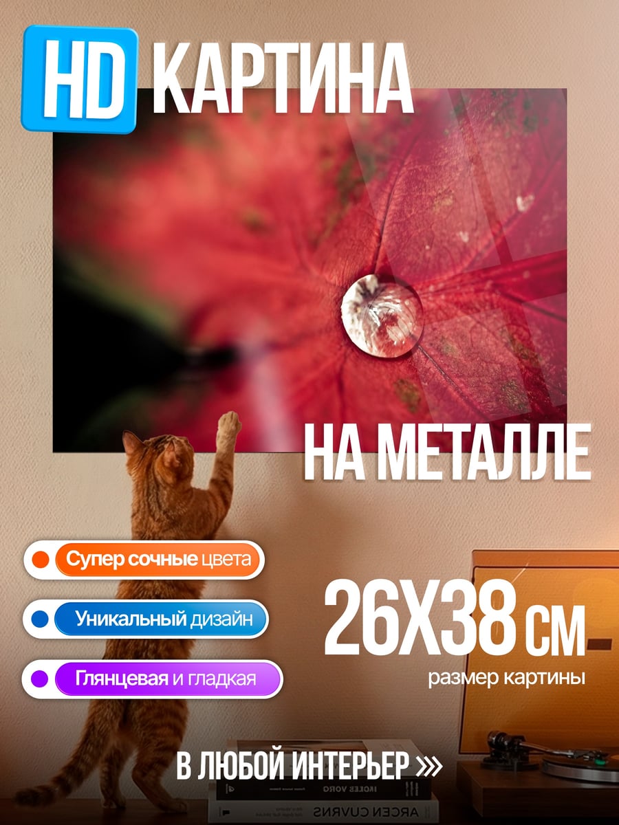 Картина на металле Капля на листе