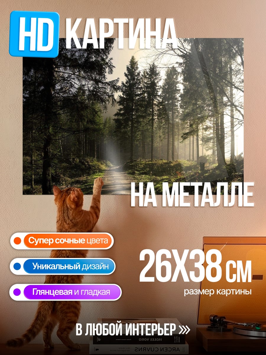 Картина на металле Лесная тропа на закате