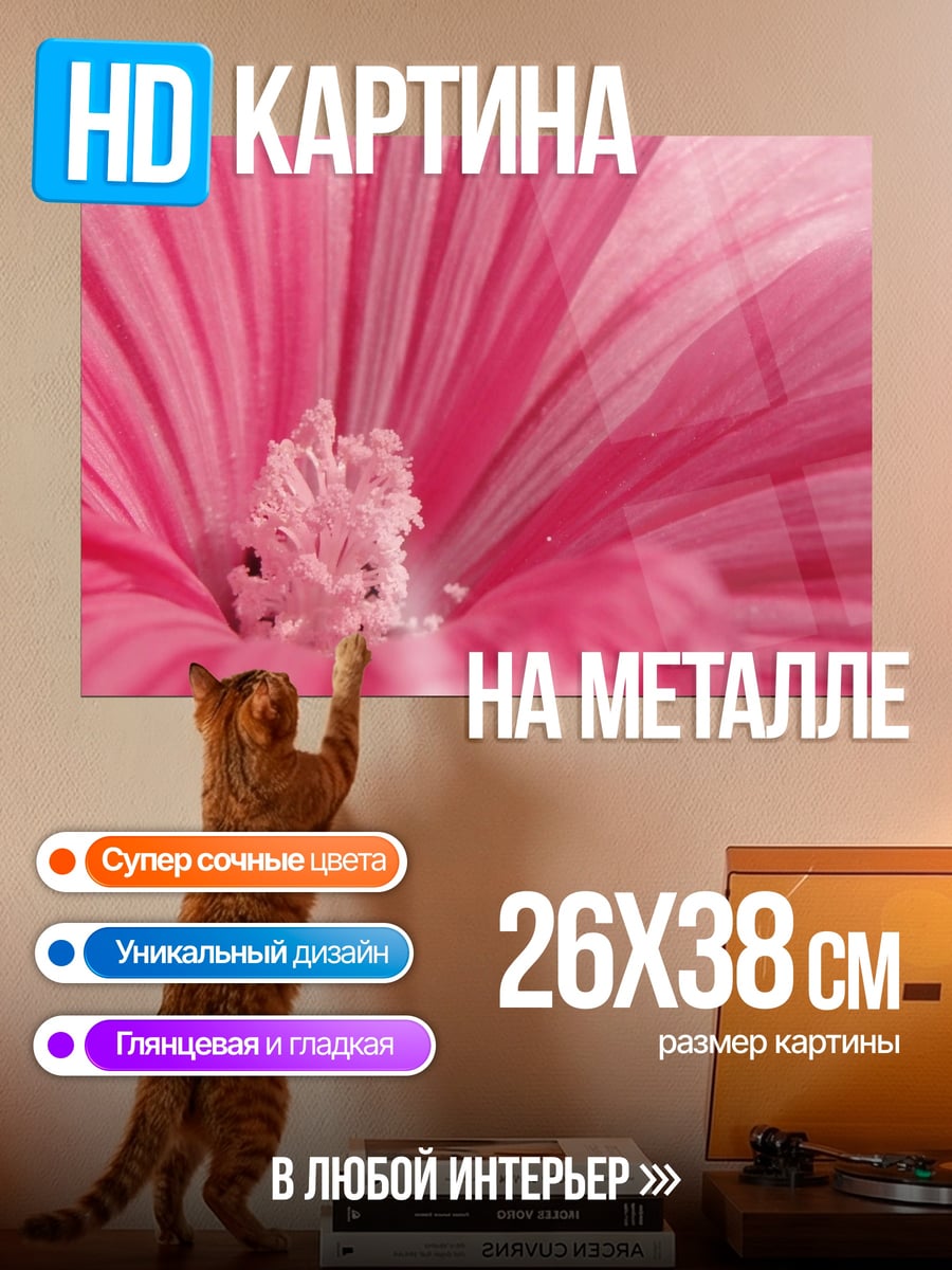 Картина на металле Розовый цветок крупным планом