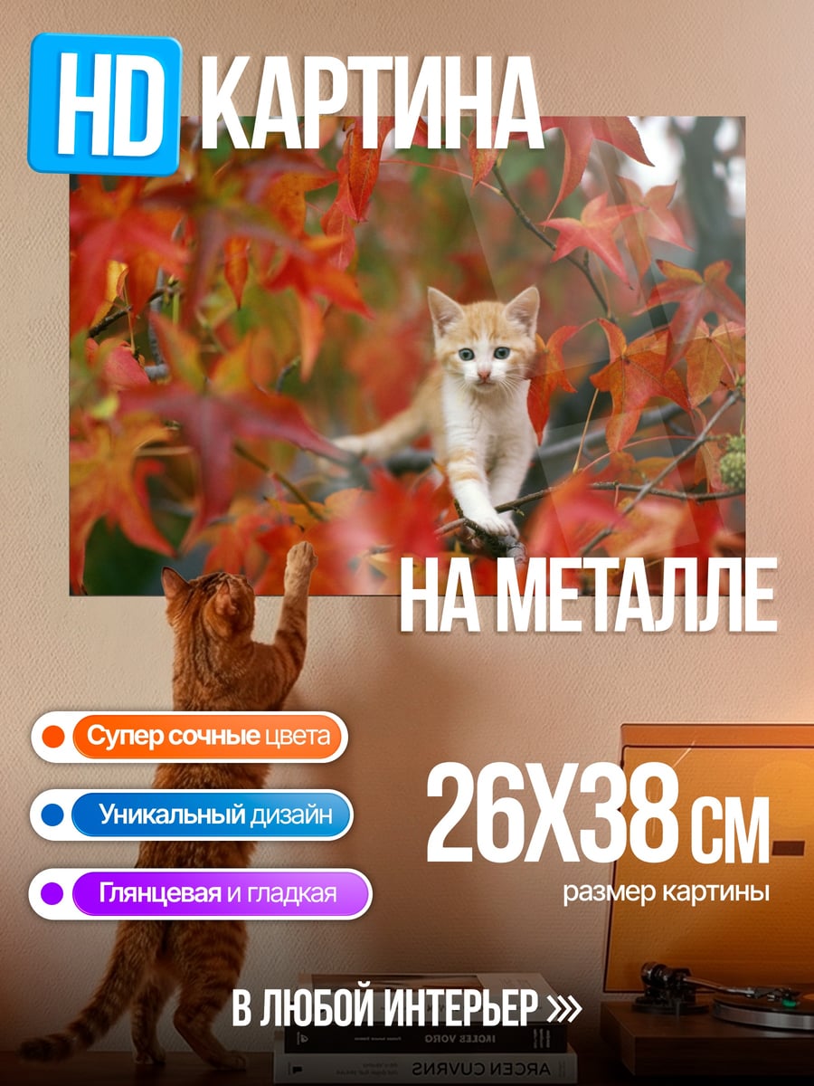 Картина на металле Котёнок в осени