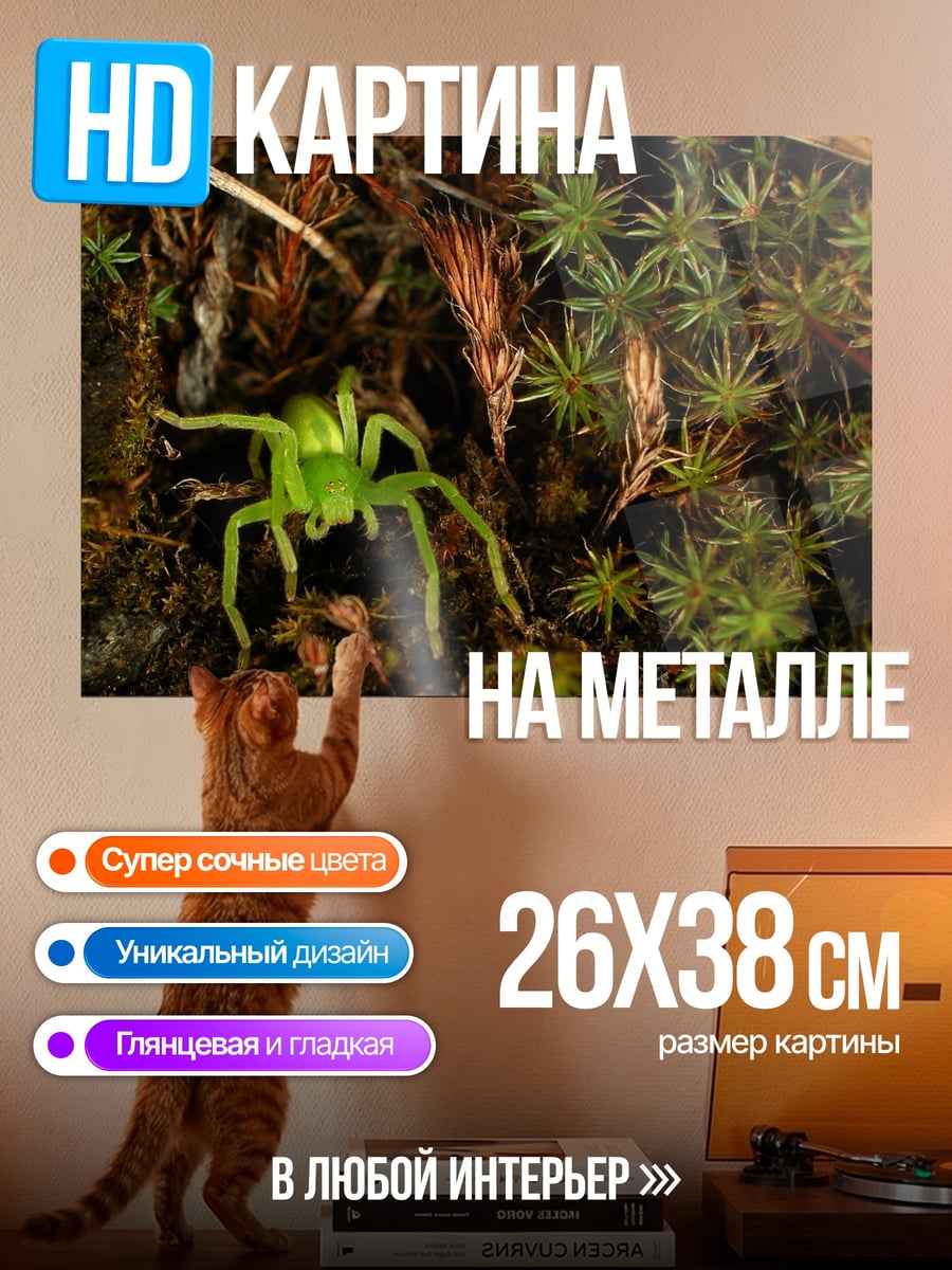 Картина на металле Зеленый паук