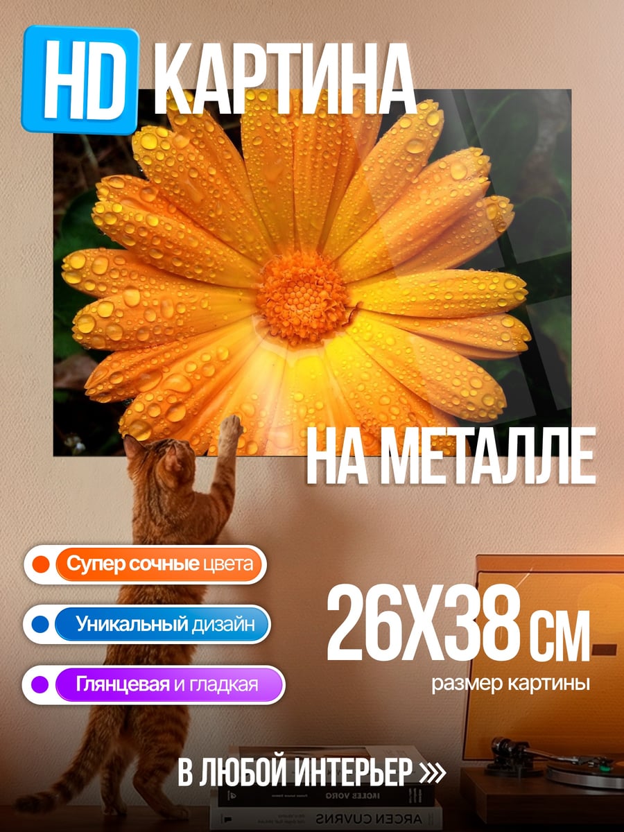 Картина на металле Цветок календулы