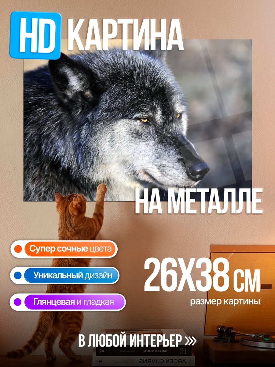 Картина на металле Портрет волка