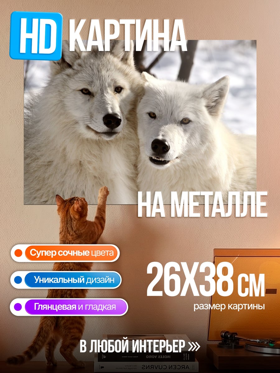 Картина на металле Два белых волка