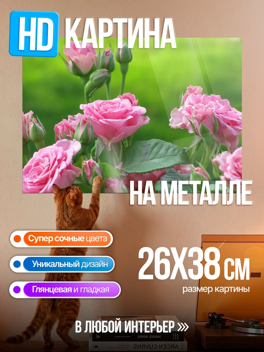 Картина на металле Розовые розы в саду