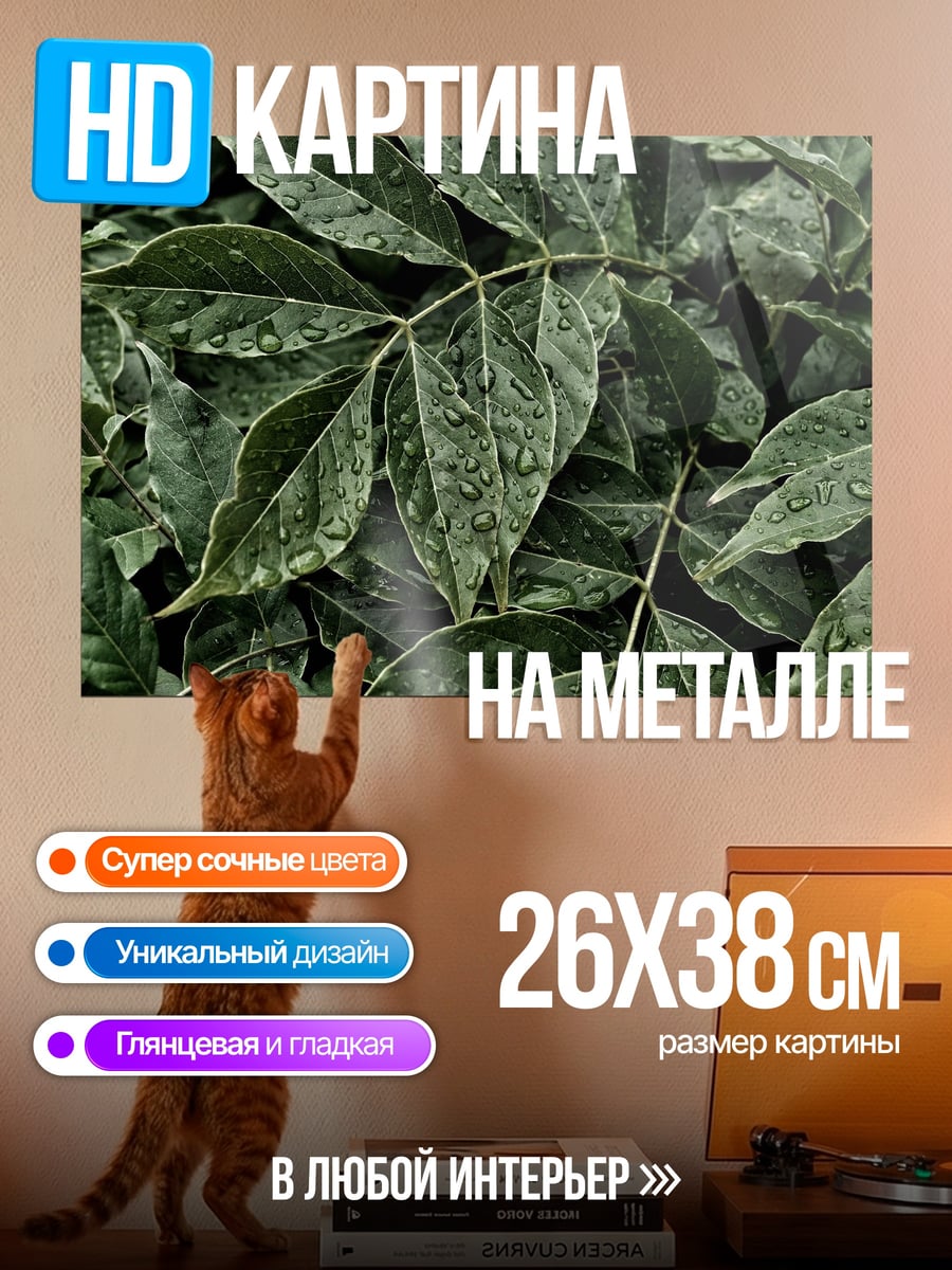 Картина на металле Зеленые листья капли