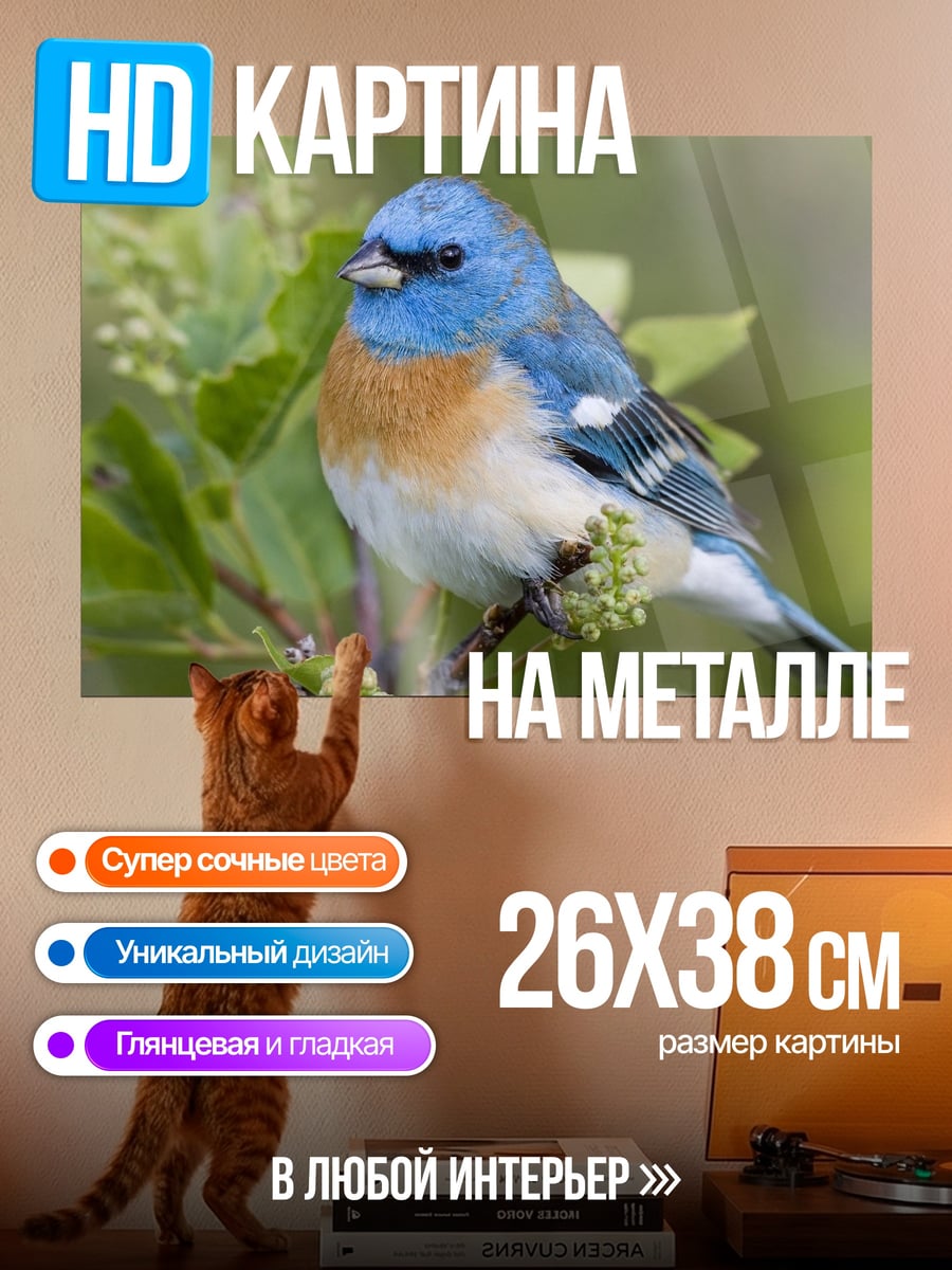 Картина на металле Синяя птичка