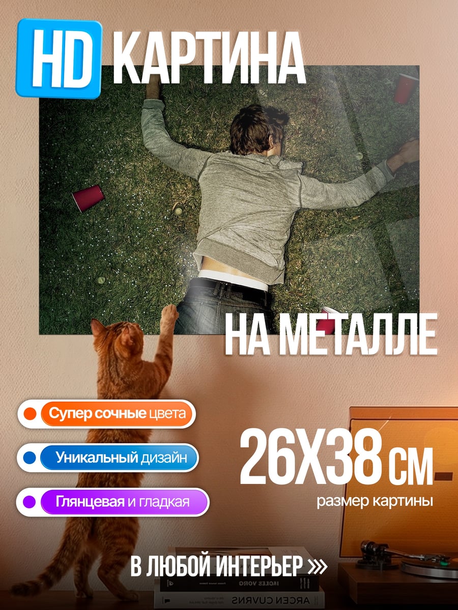 Картина на металле Парень на траве
