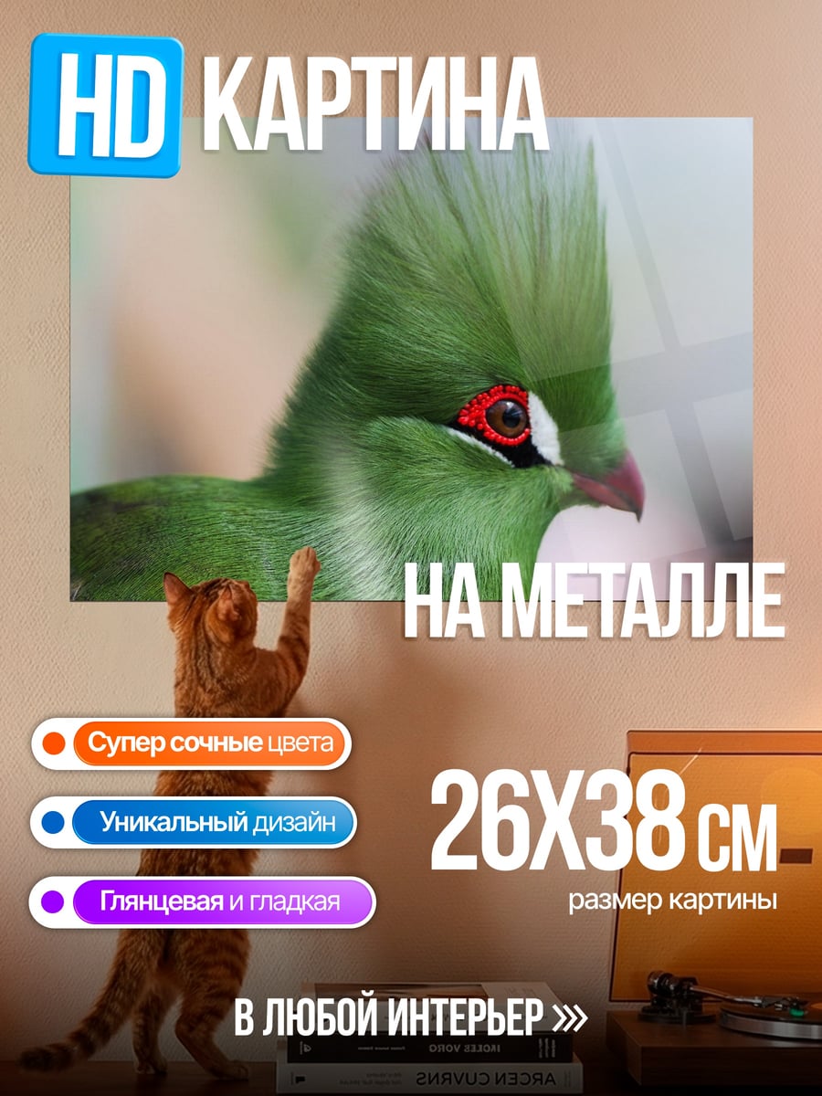 Картина на металле зеленая птица с гребнем