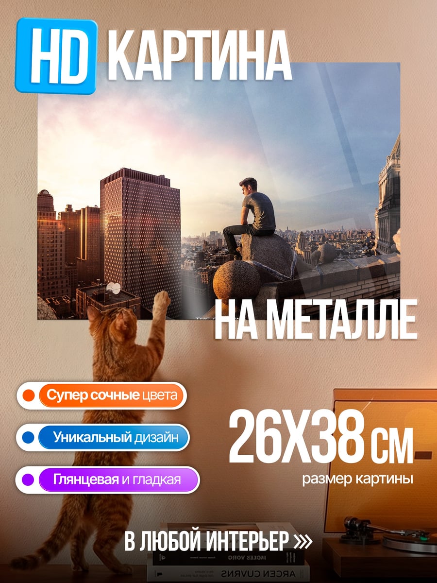 Картина на металле одинокий на крыше