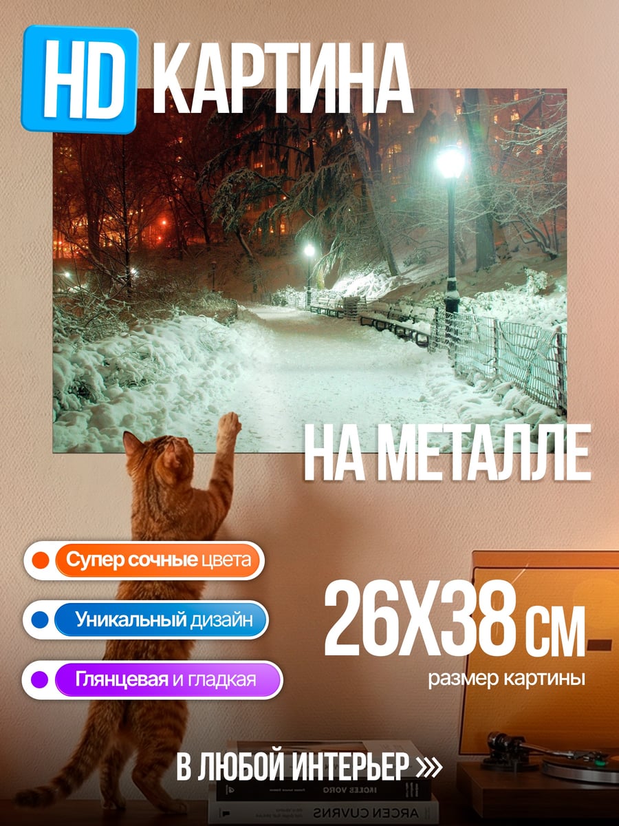 Картина на металле Зимний парк ночью