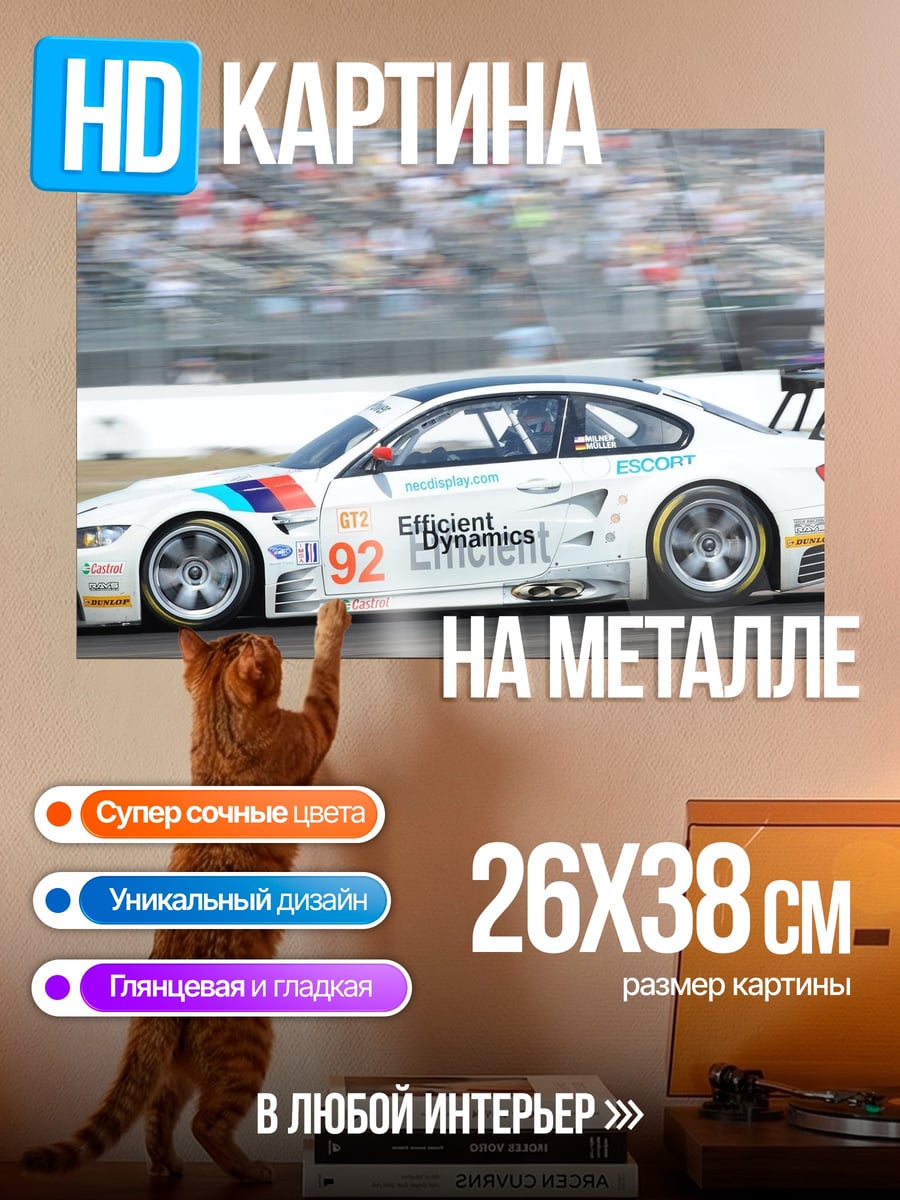 Картина на металле Гоночный автомобиль