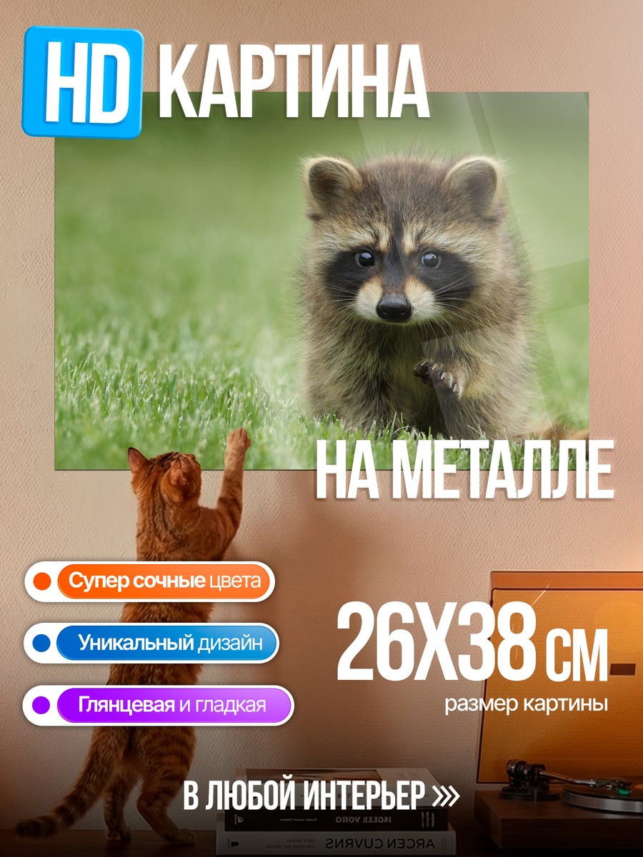 Картина на металле Енот на траве