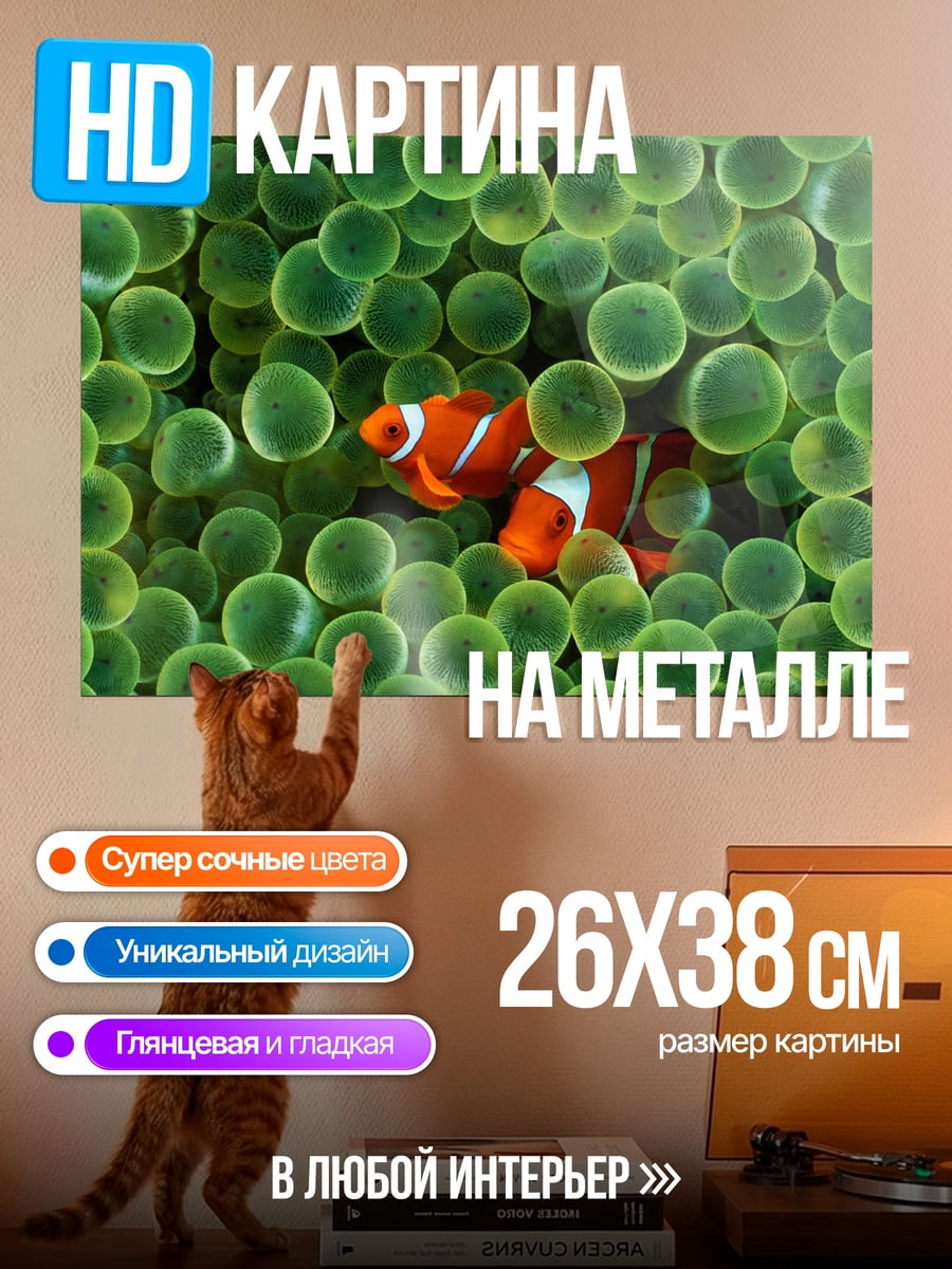 Картина на металле Рыба клоун в анемонах