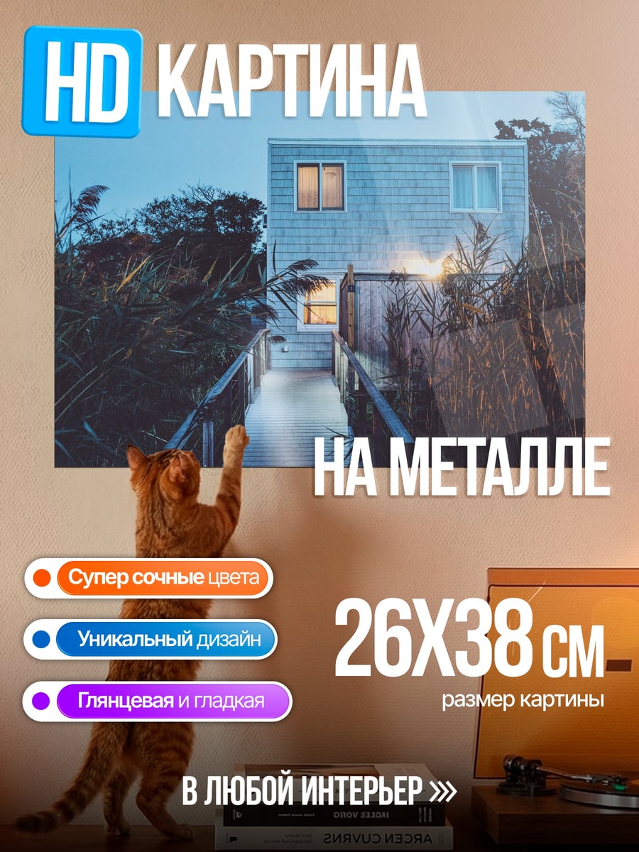Картина на металле Дом у воды