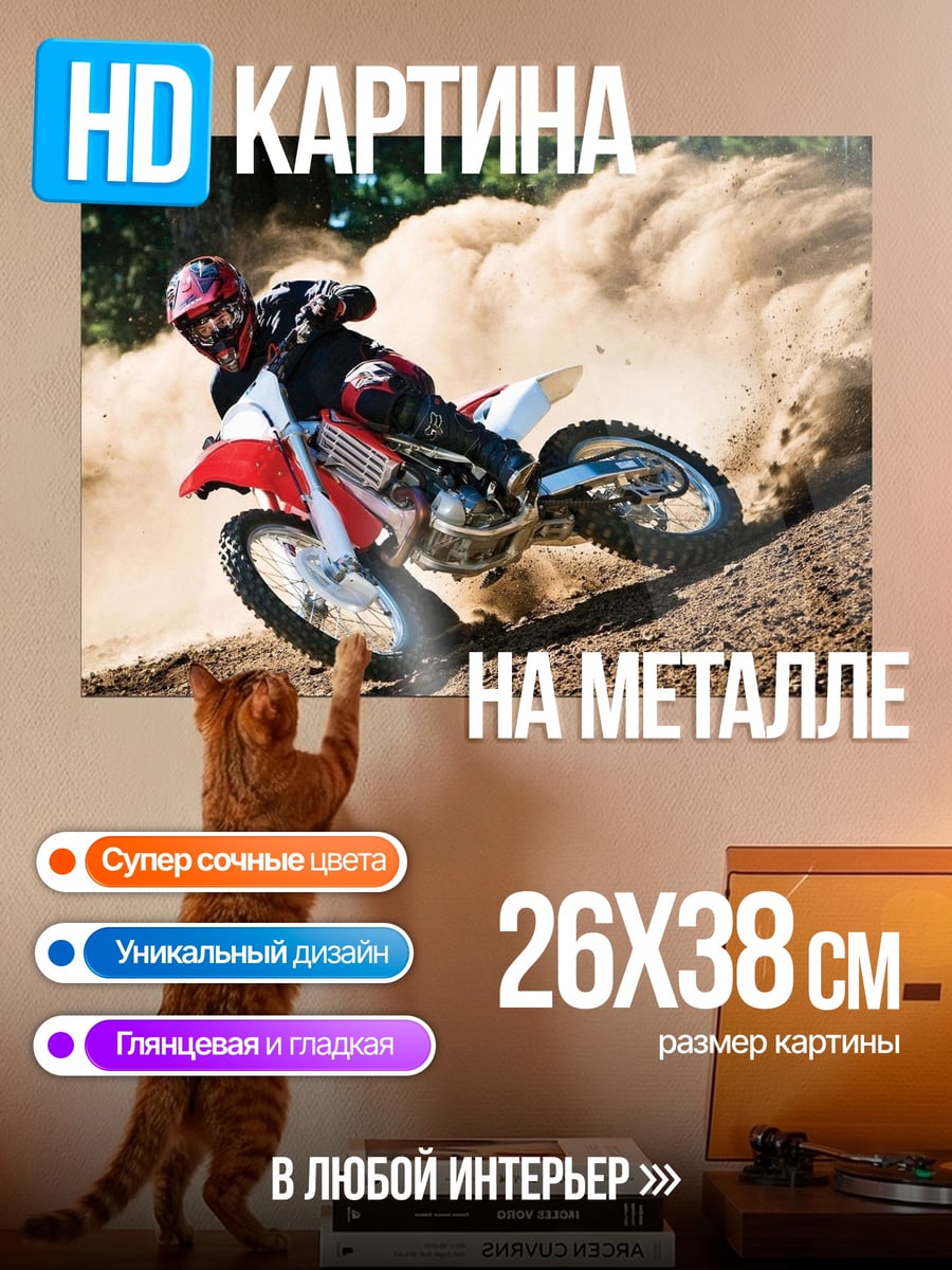 Картина на металле Мотокросс в пыли