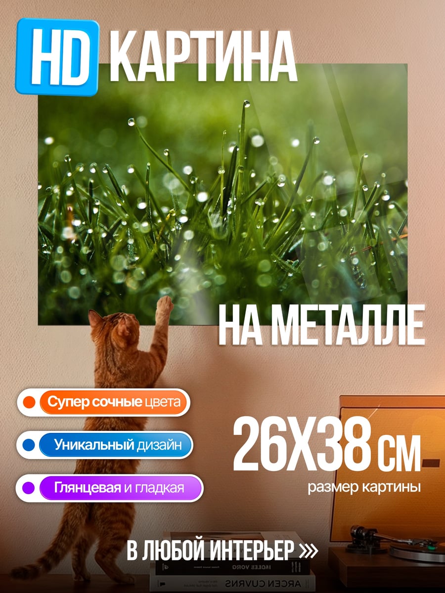 Картина на металле Капли росы на траве