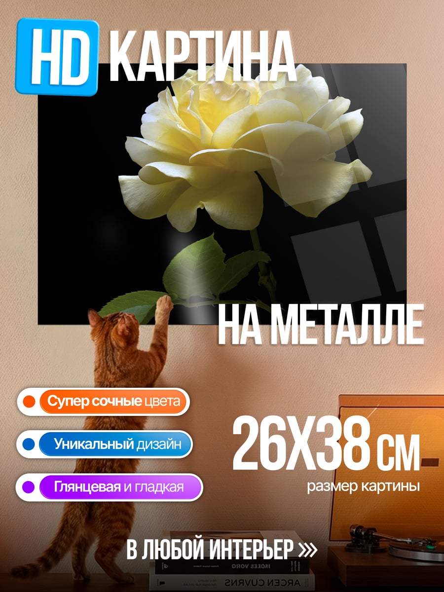 Картина на металле Желтая роза