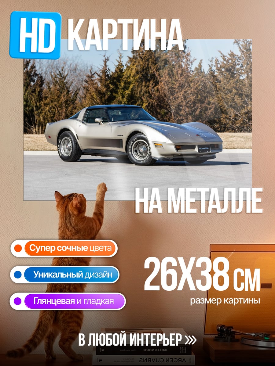 Картина на металле Классический Корветт