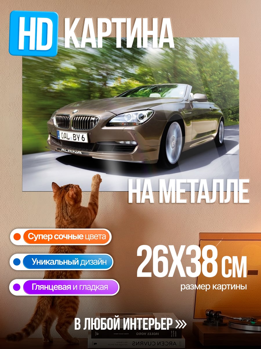 Картина на металле спортивный кабриолет