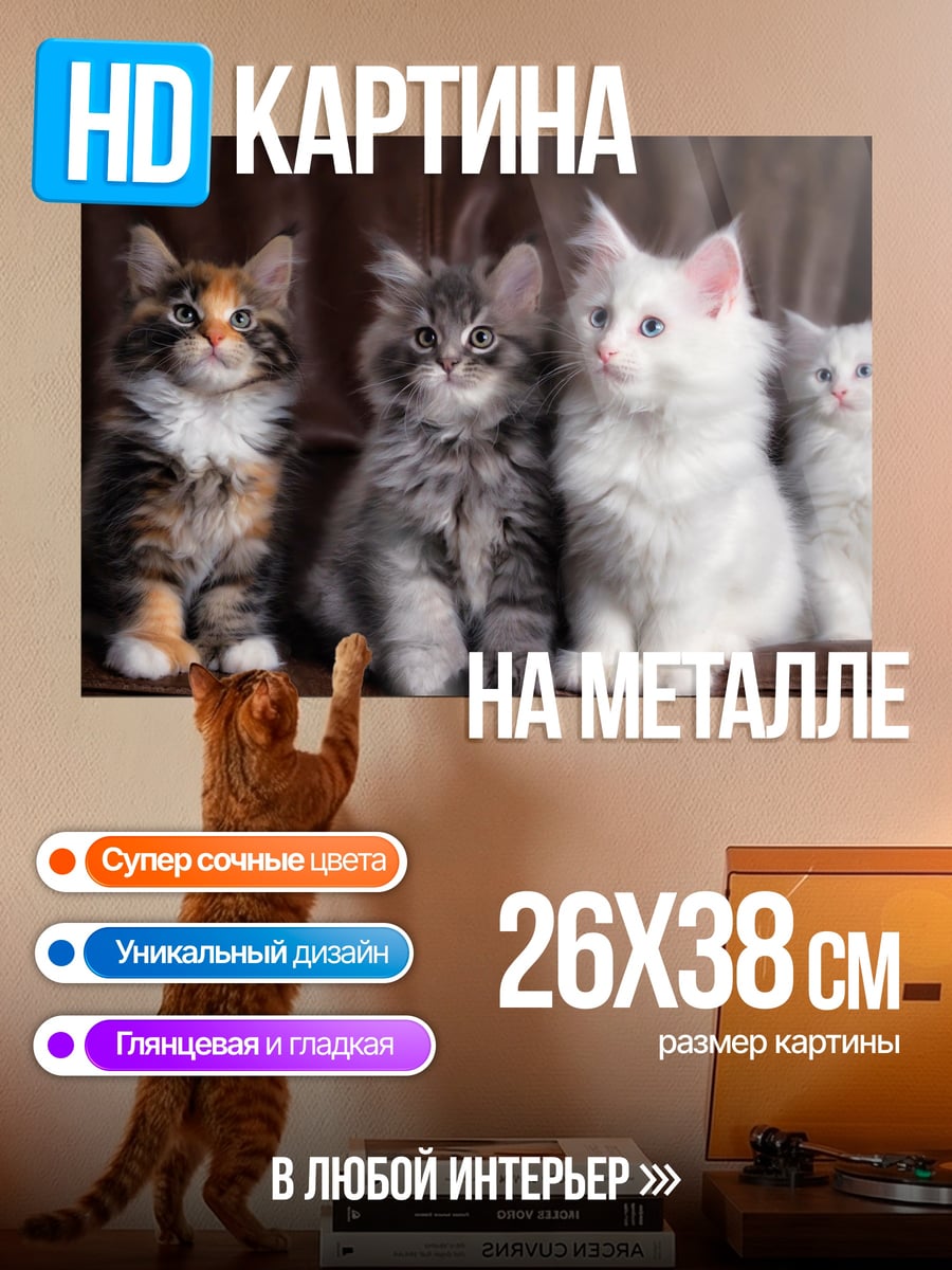 Картина на металле Четыре котенка