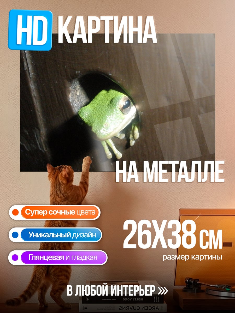 Картина на металле зеленая лягушка