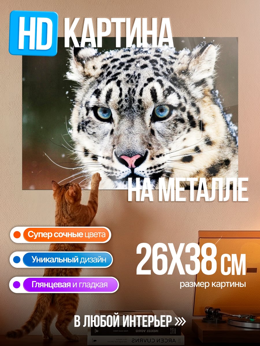 Картина на металле снежный барс