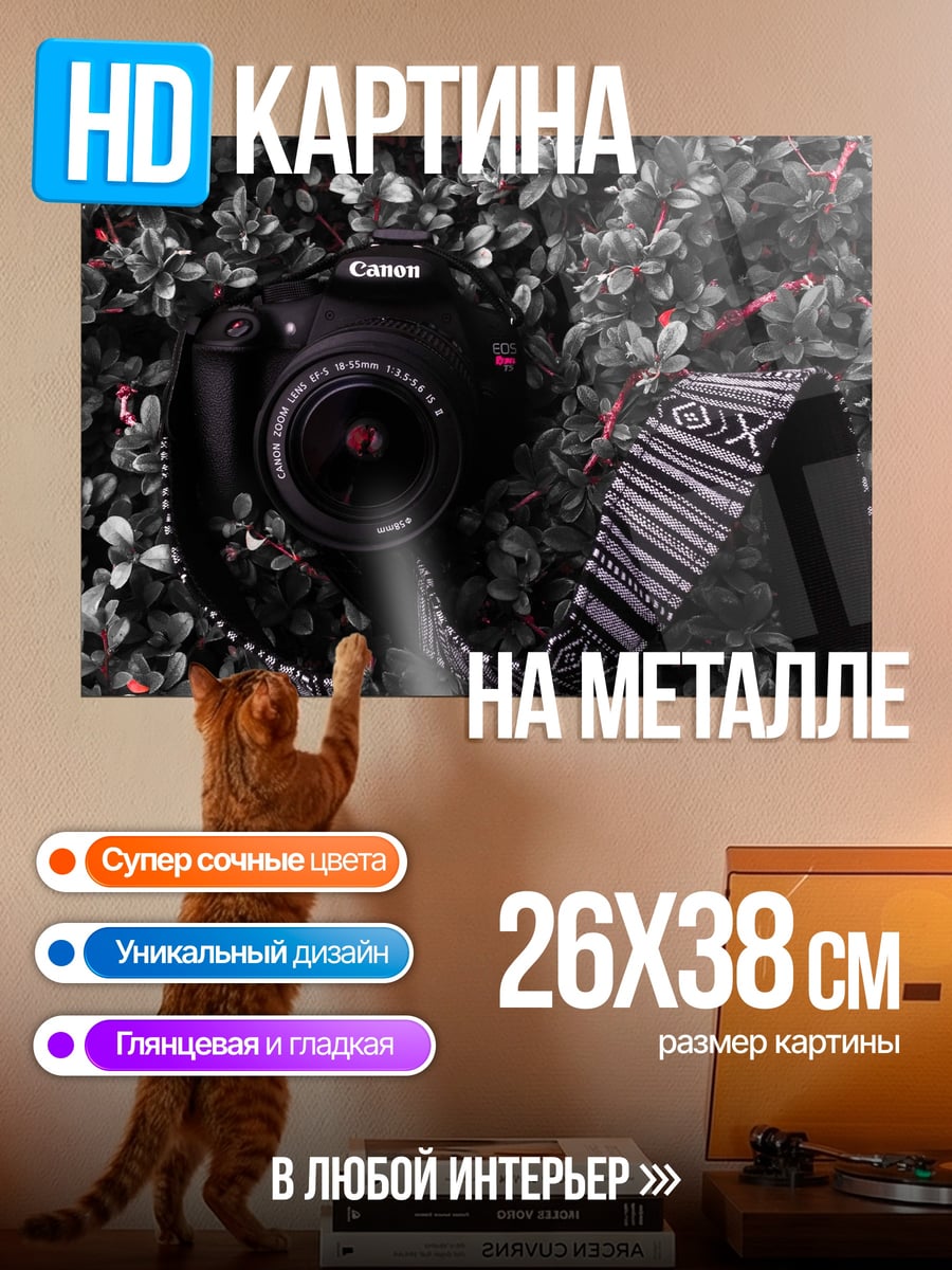 Картина на металле фотоаппарат в кустах