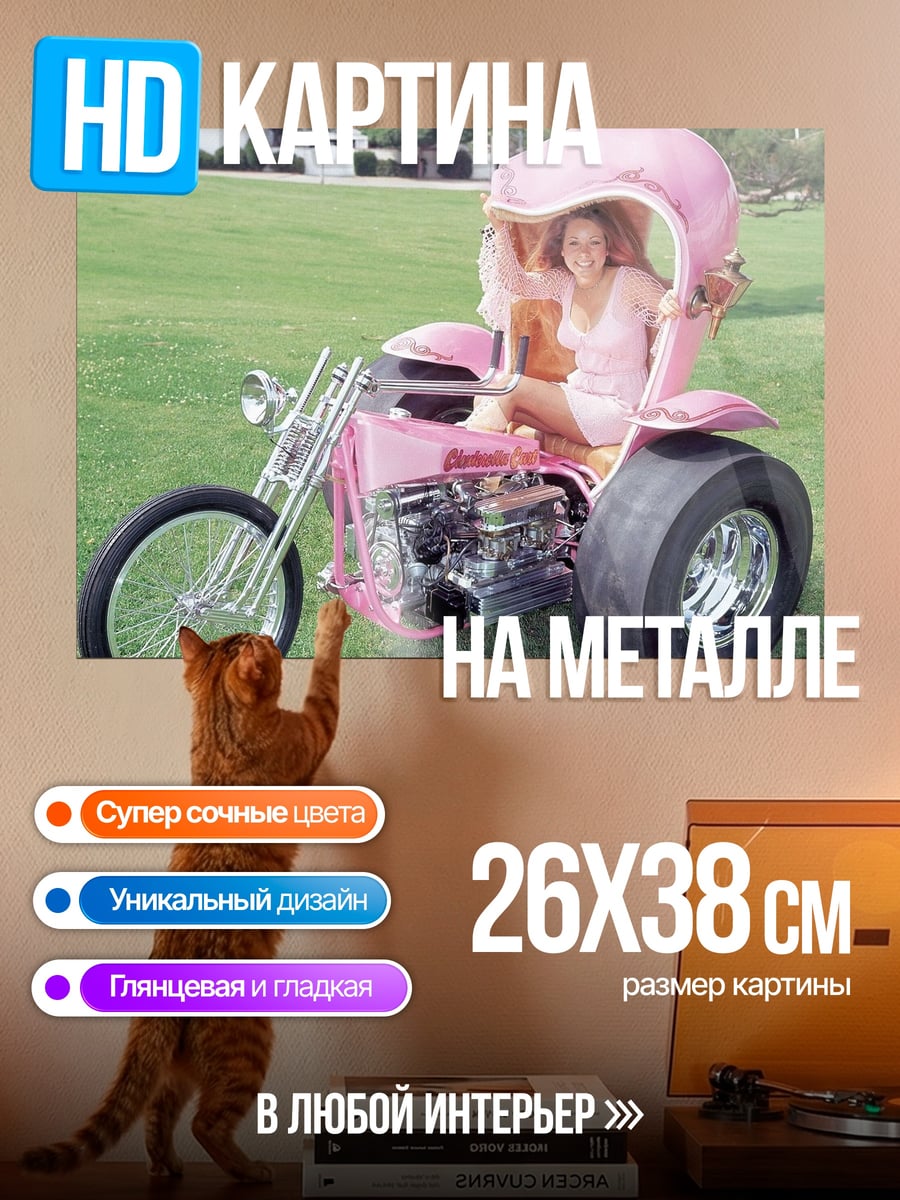 Картина на металле Розовая трехколесная машина