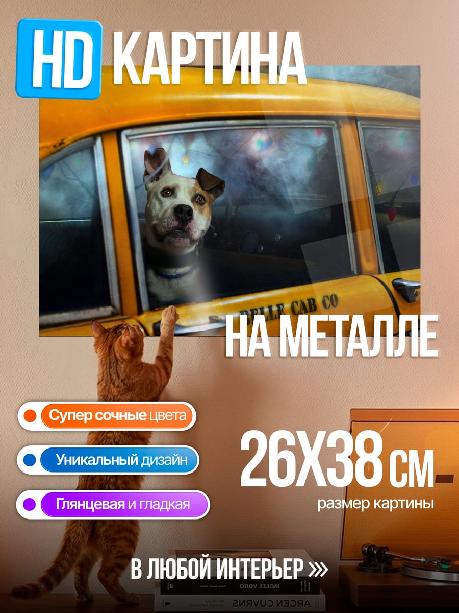 Картина на металле Пес в такси