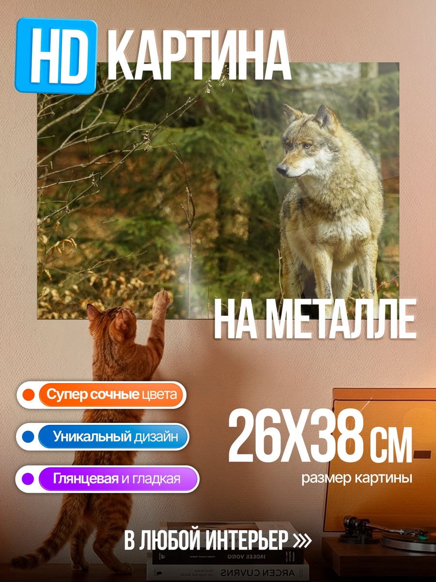 Картина на металле Лесной волк