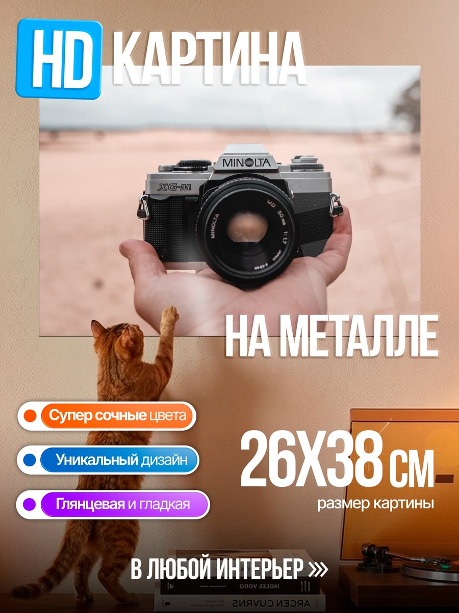 Картина на металле Камера в руке