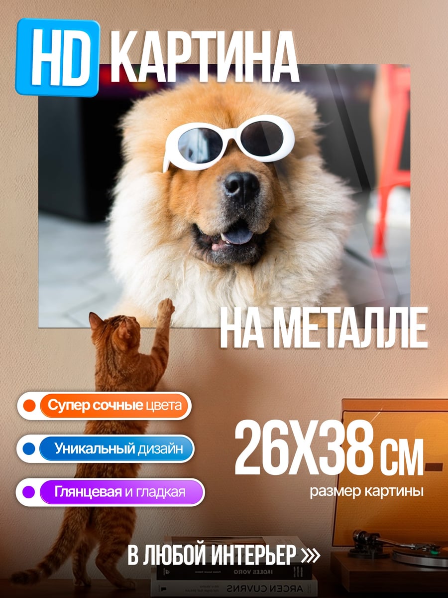 Картина на металле Чоу-чоу в очках