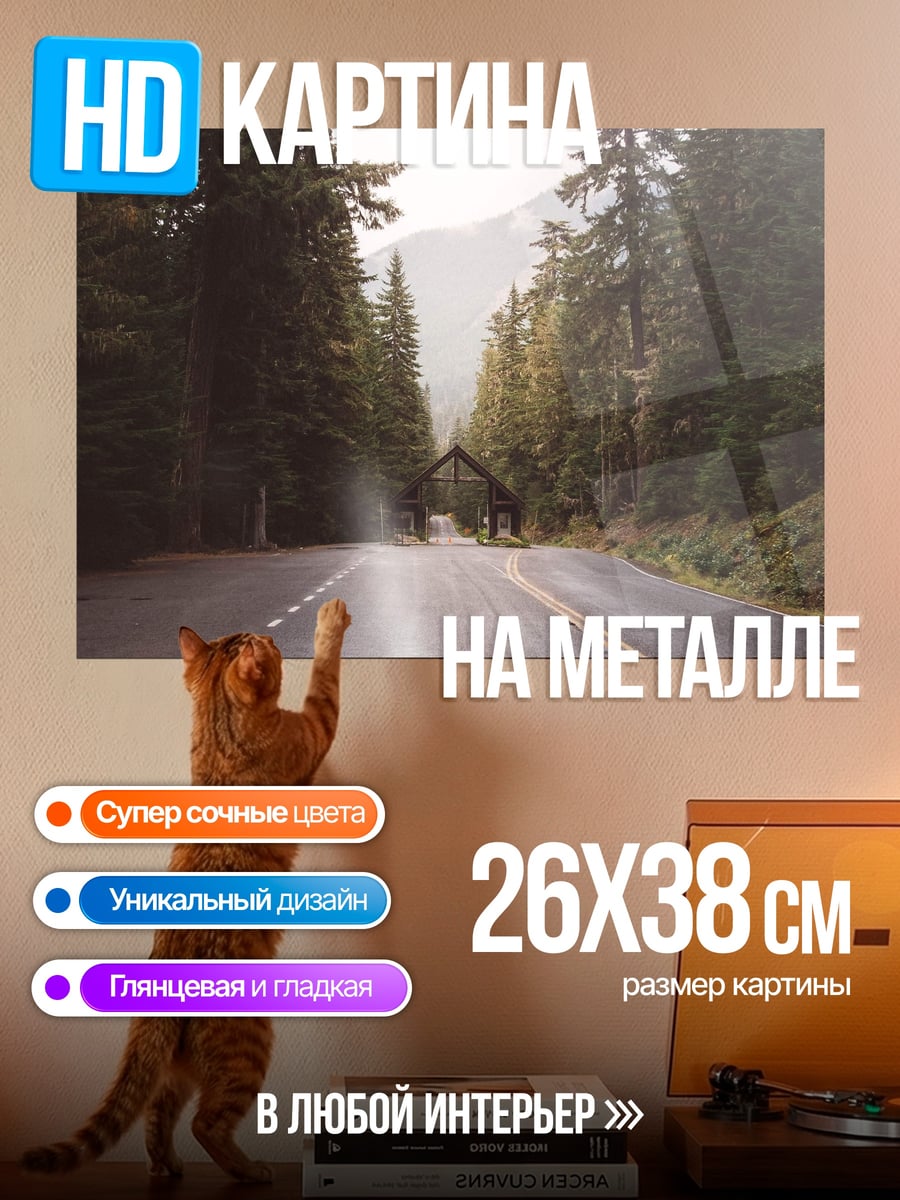 Картина на металле Лесная дорога