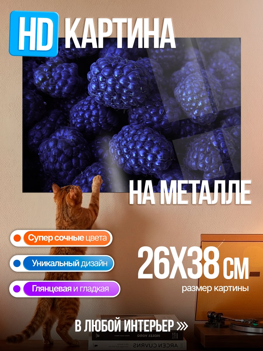 Картина на металле Синие ягоды крупным планом