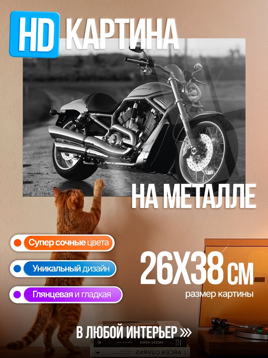 Картина на металле Мотоцикл на дороге