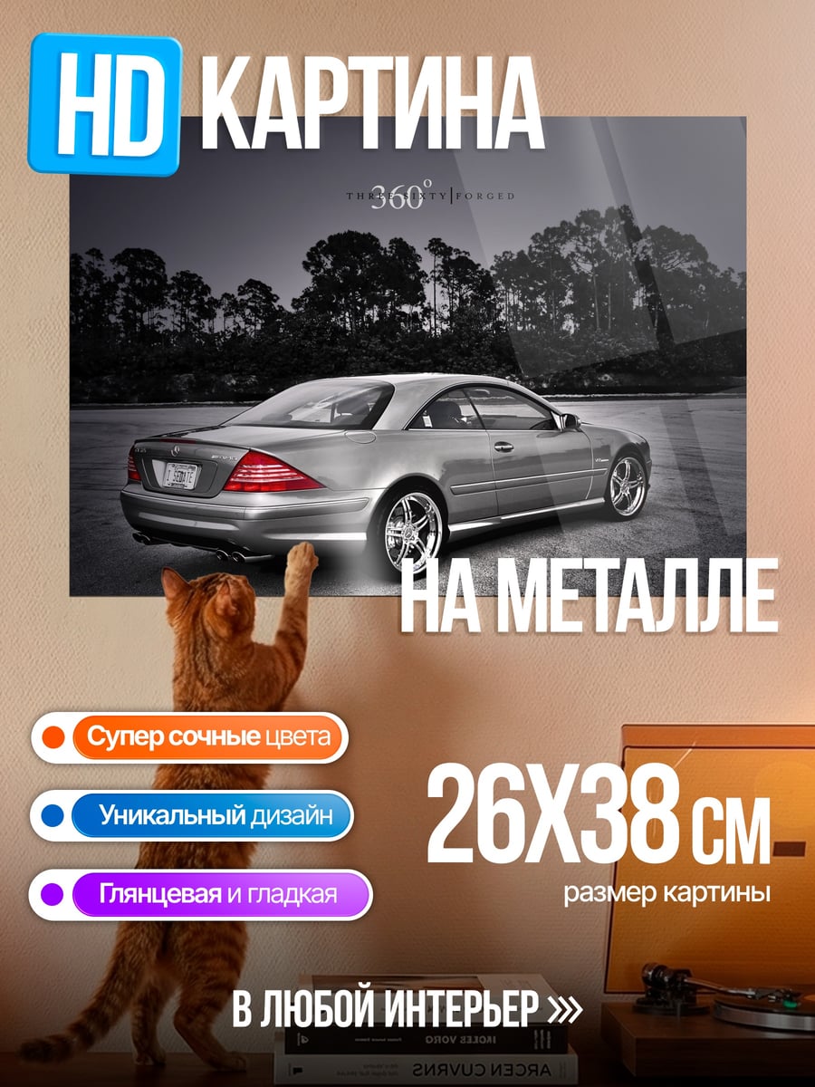 Картина на металле Серебристое купе