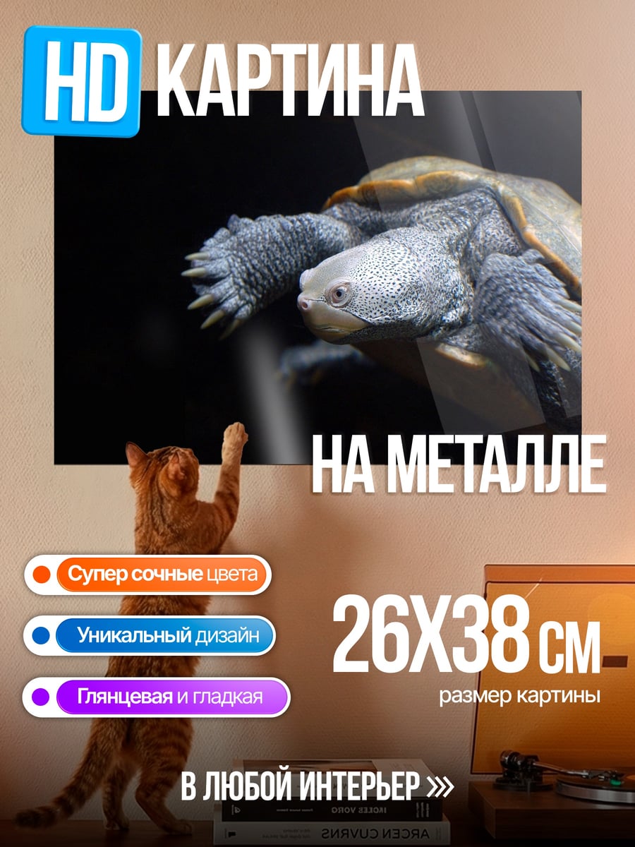 Картина на металле Черепаха в темноте