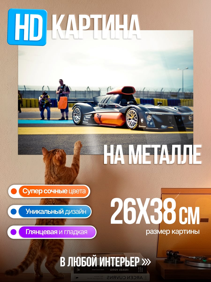 Картина на металле Гонка на закате