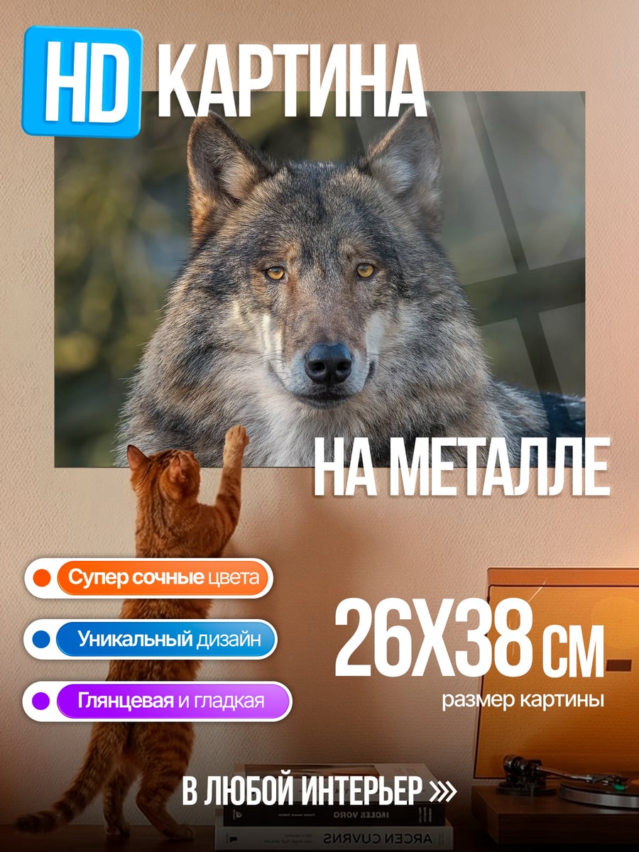 Картина на металле портрет волка