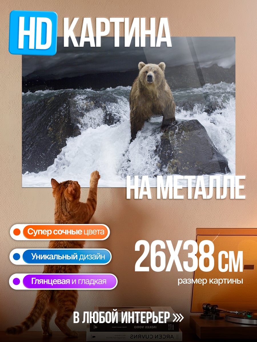 Картина на металле медведь на камне