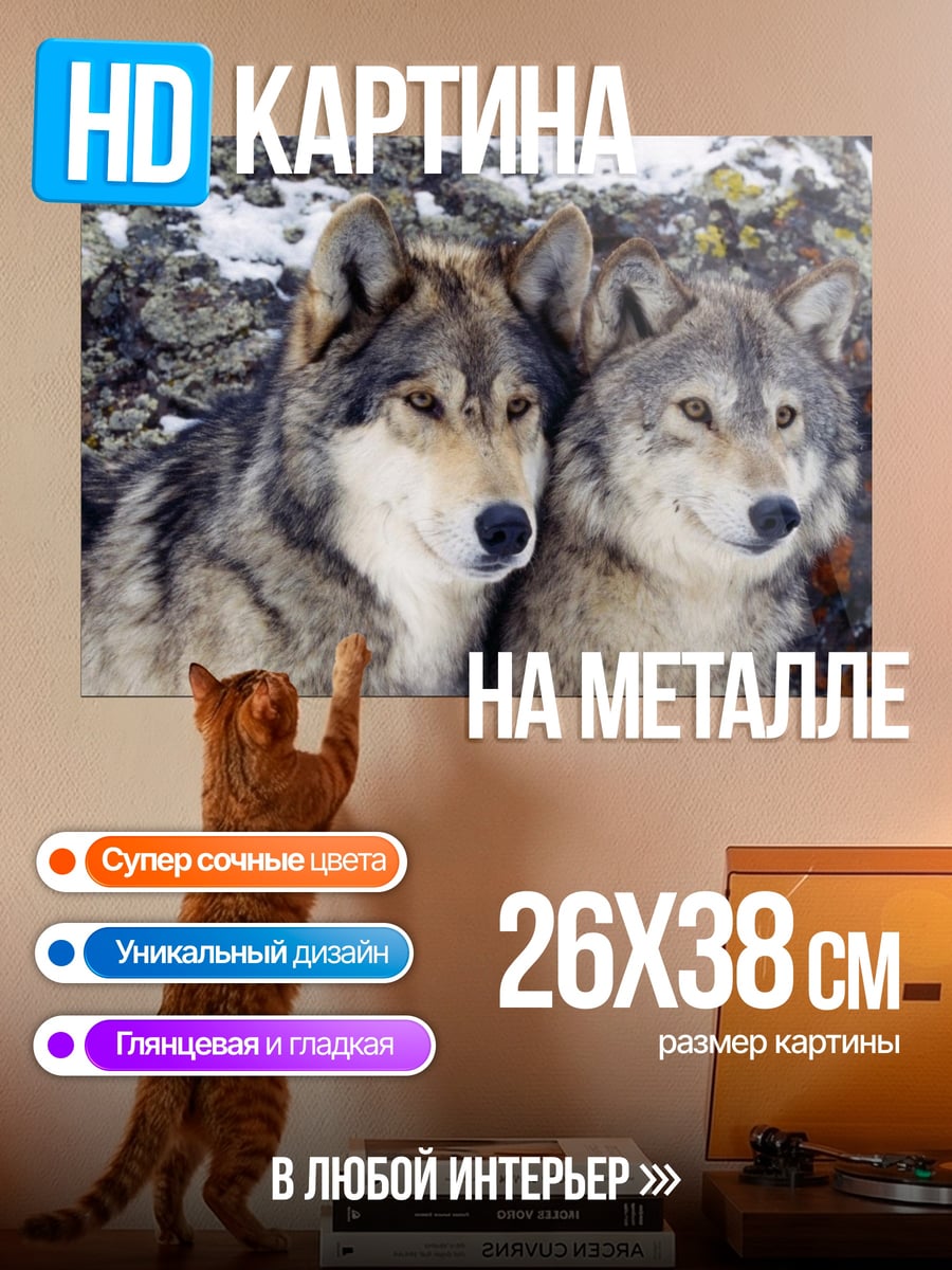 Картина на металле Пара волков