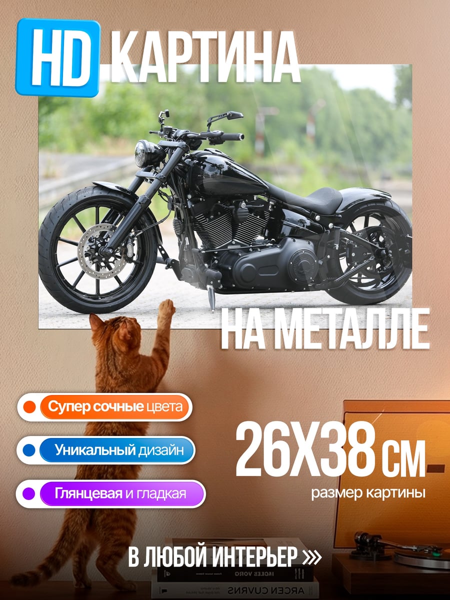 Картина на металле Черный байк