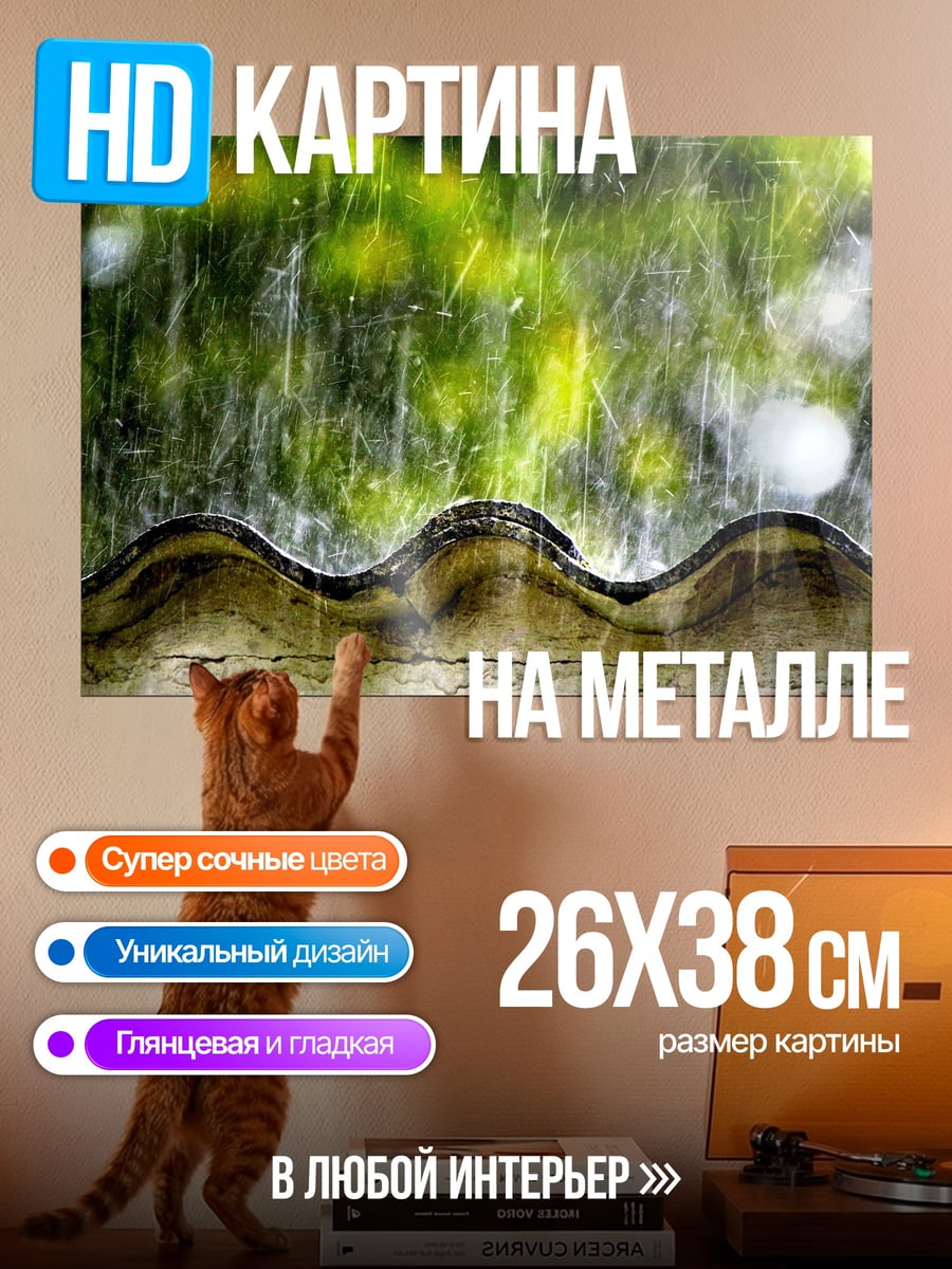 Картина на металле Дождь на крыше