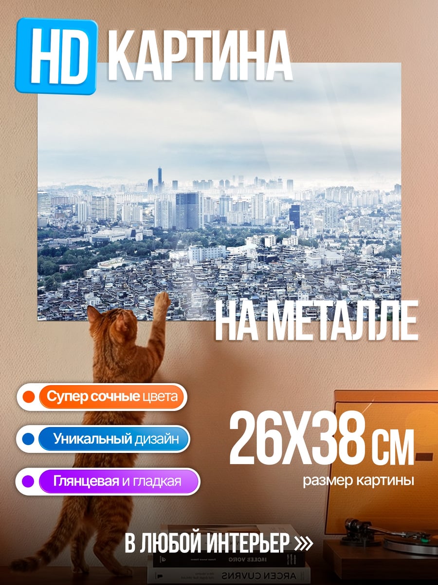 Картина на металле Панорама города